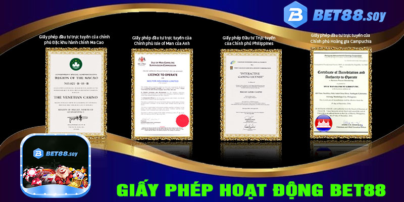 Giấy phép hoạt động