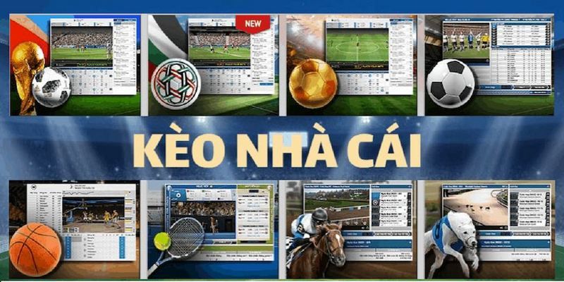 Giới thiệu chi tiết về kèo nhà cái Bet88