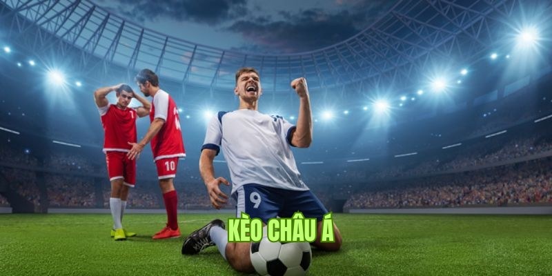 Kèo châu Á cực kỳ phổ biến trong giới cá cược