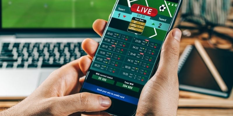 Chi tiết về quyền lợi của người chơi theo điều khoản và điều kiện Bet88