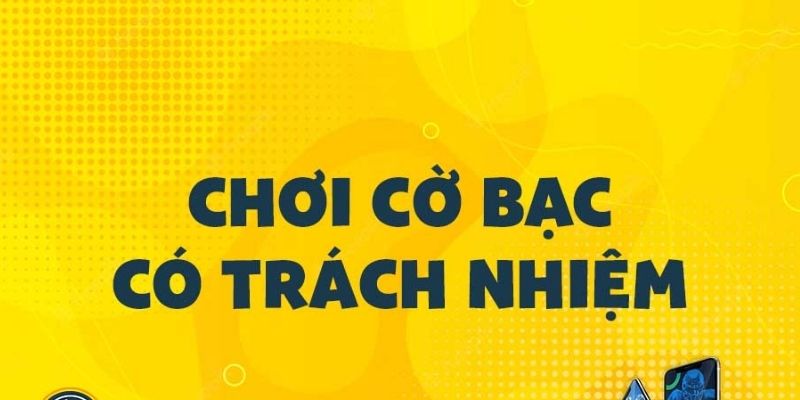 Thông tin chung về chính sách trách nhiệm của người chơi
